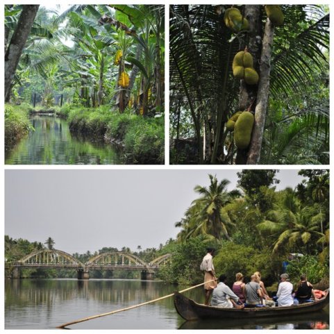 Backwater, Kerala w Indiach•foto: D. Jaworska