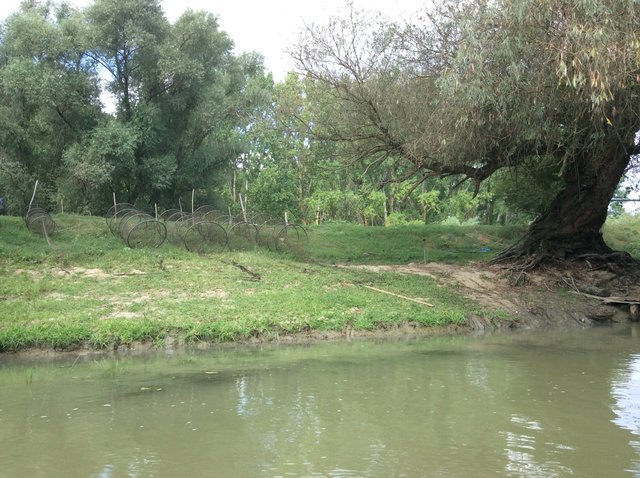 Delta Dunaju. Foto: D. Jaworska