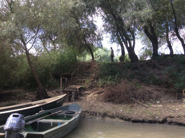 Delta Dunaju. Foto: D. Jaworska