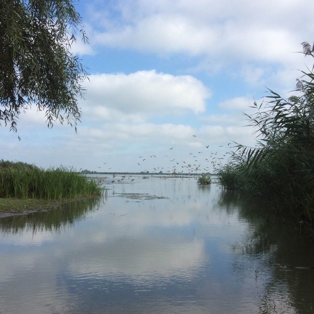 Delta Dunaju, okolice wyspy Uzlina, Rumunia•foto: D. Jaworska