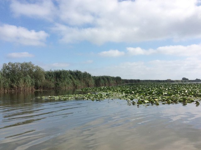 Delta Dunaju, Rumunia•foto: D. Jaworska