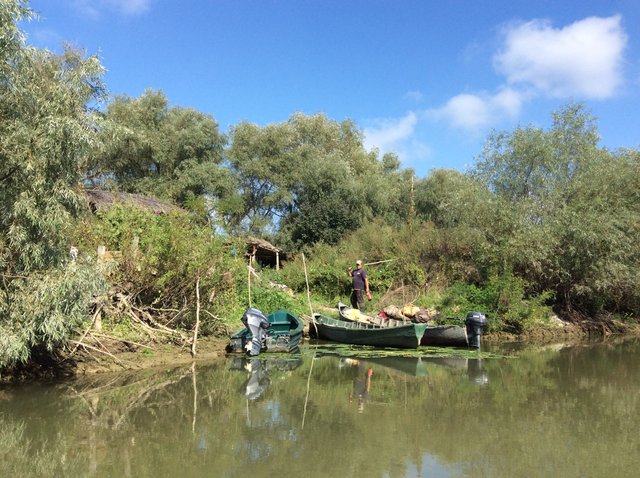 Delta Dunaju. Foto: D. Jaworska