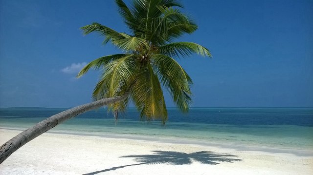 Malediwy to błękitne niebo, turkusowa woda i soczysta zieleń palm. A i zapomniałabym - biały, drobniutki piasek. Raj!	•	Foto: D. Jaworska