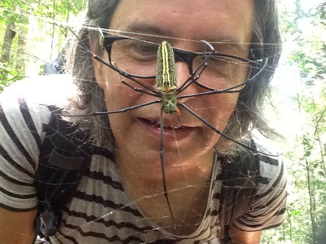 Singharaja Rainforest, Sri Lanka•Foto: D. Jaworska