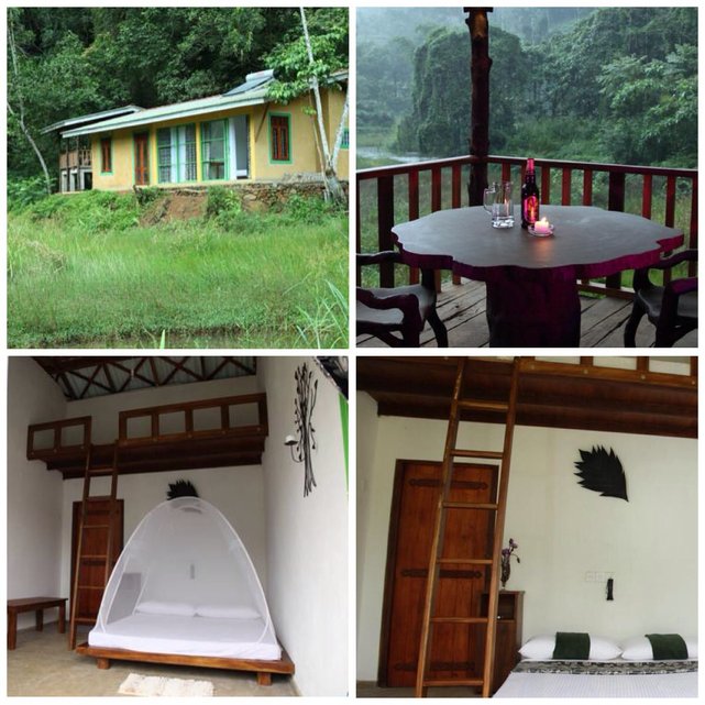 Sinharaja Forest Edye - Guest House został urządzony nowocześnie i wygodnie. Deniyaya, Sri Lanka•Foto: booking.com