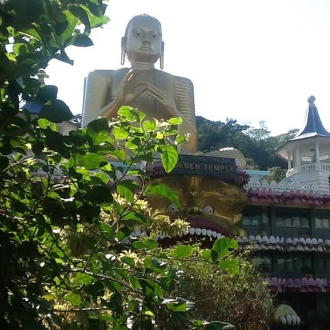 Budda w Damballa, Sri Lanka•Foto: D. Jaworska