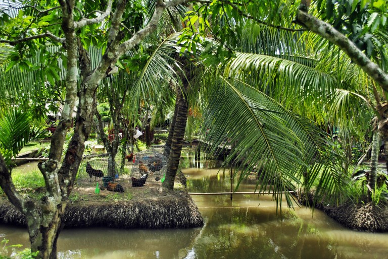 Homestay w Delcie Mekongu. Wietnam. Foto: D. Jaworska