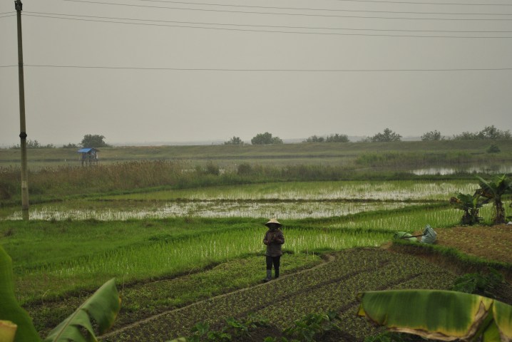 Na wyspie Tuan Chau w zatoce Ha Long. wietnam. Foto: D. Jaworska