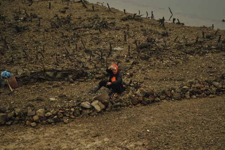 Zatoka Ha Long. Wietnam. Foto: D. Jaworska