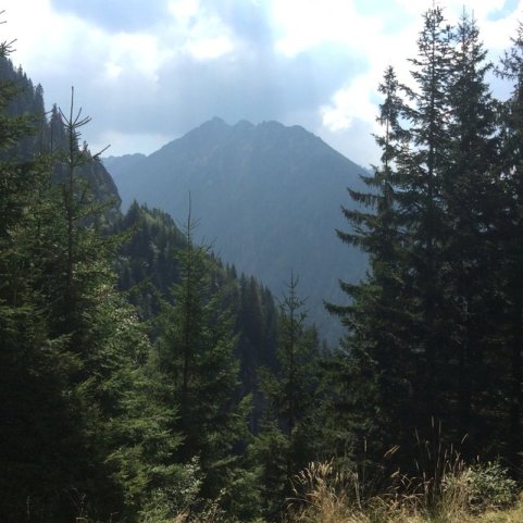 Transylwania, Rumunia•Foto: D. Jaworska