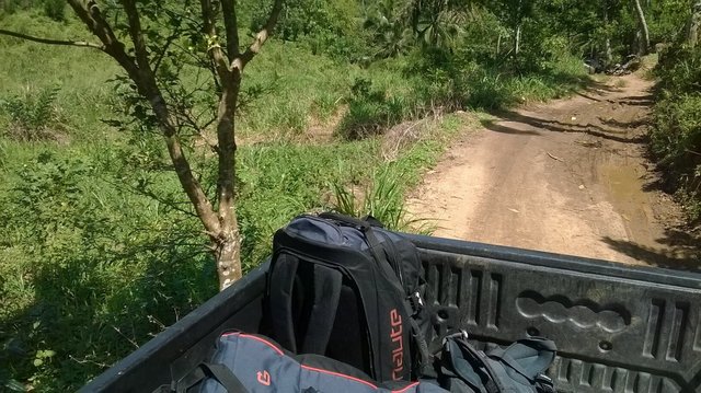 W drodze do deszczowego lasu. Sri Lanka