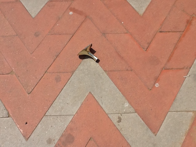 Złoty obcasik znaleziony przy plaży w Chennai. Foto: D. Jaworska