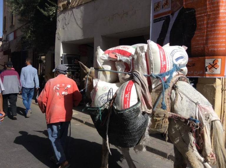 14958691_10207788447809056_2045678835_n