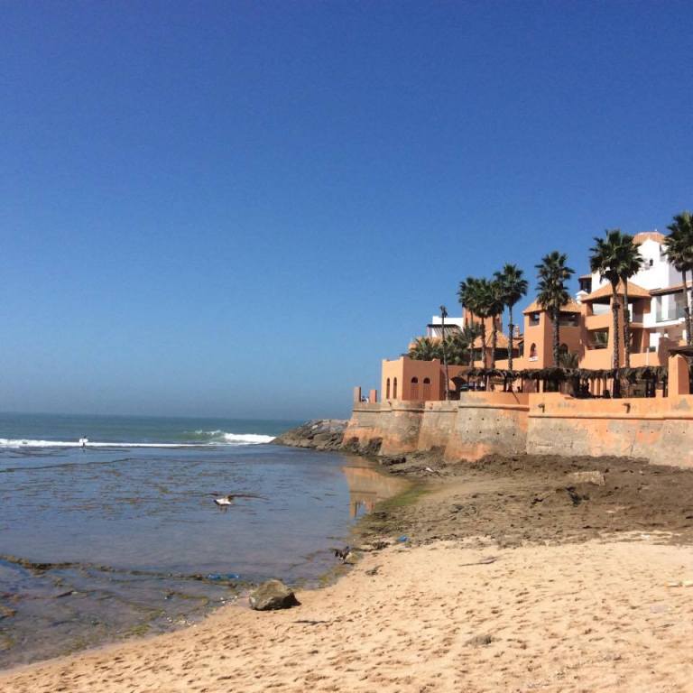 14962816_10207783143676456_2679837_n