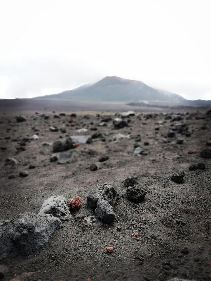 42045490_10214568127495020_4046220897797799936_n